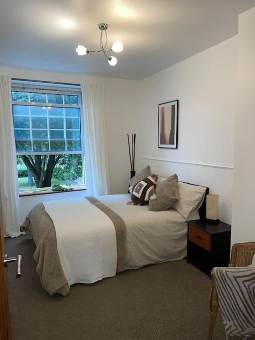 Classy Se8 Your Hidden Gem In Zone 2 * Londra